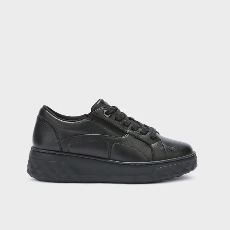 urban elastic