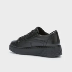 urban elastic